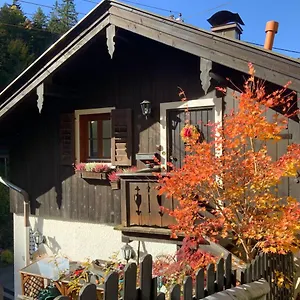 https://appartements-am-alpbach.com-bavaria.com